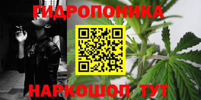 мдпв Кандалакша