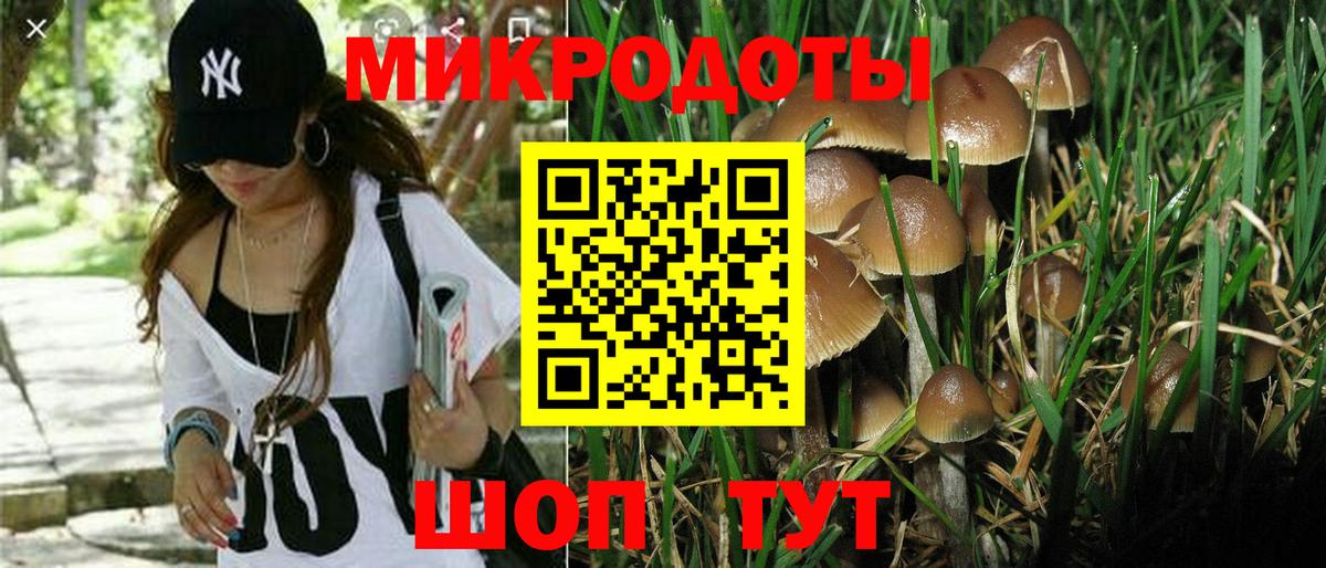 Псилоцибиновые грибы ЛСД Ливны