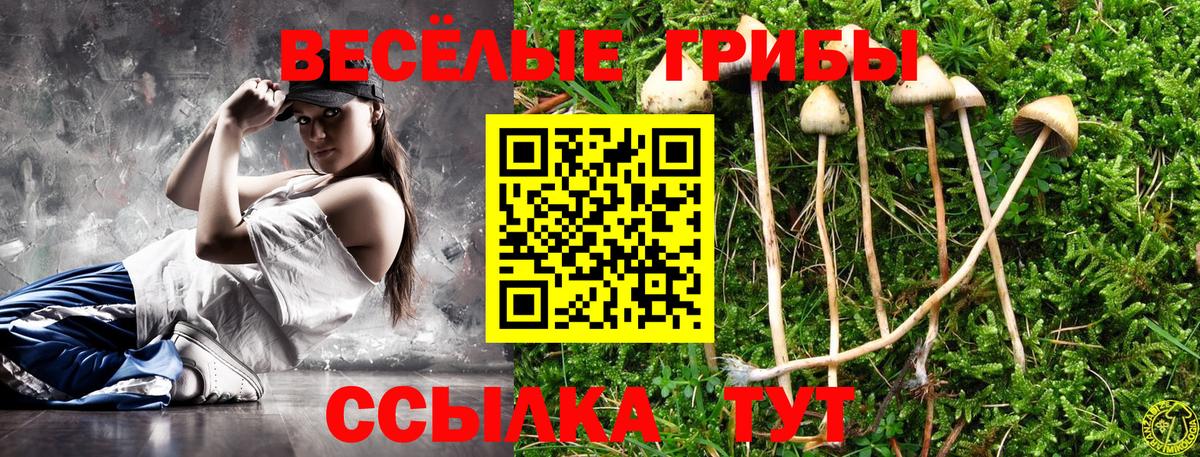 Ливны  где купить наркоту  Вход с VPN  Псилоцибиновые грибы Psilocybe 